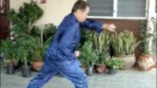 Eagle Claw Kung Fu - Combat Sequence 1: Press Strike