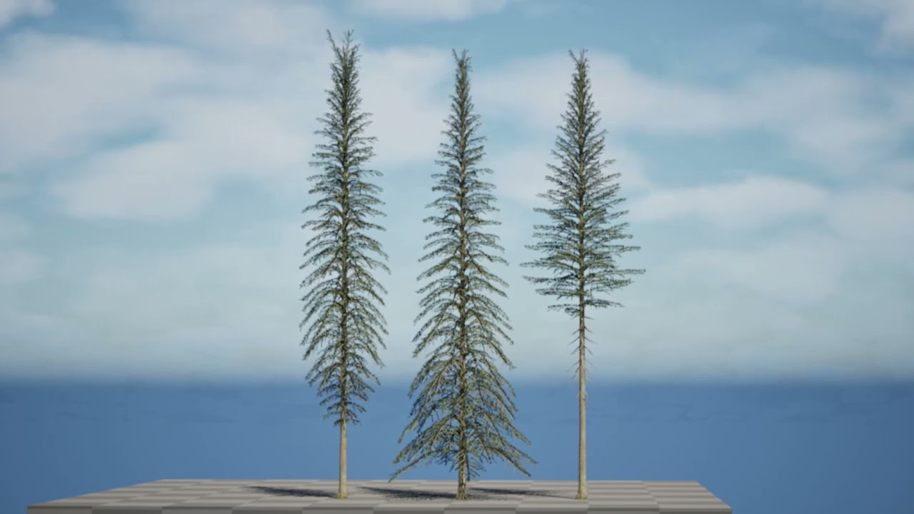 Spruce Tree Pack 3d animation with unreal