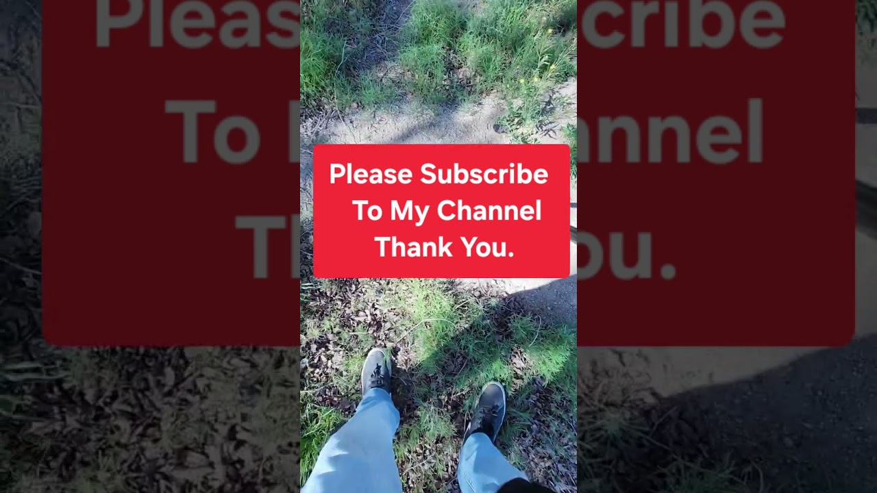 Train Camp, Old Home Lot, Computation Of Hunt Clips February 24, 2026 #metaldetecting ##coinhunting 