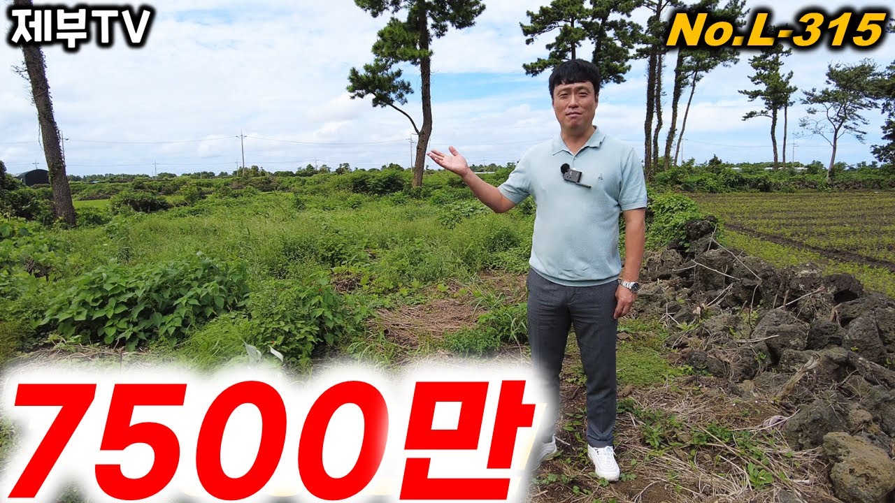 이런 토지 아마 처음 보실겁니다 L-315 제주도 진짜 큰일 난거 같습니다