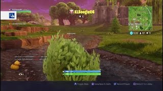 Fortnite_20180517193115