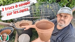 3 trucs à savoir sur les oyas