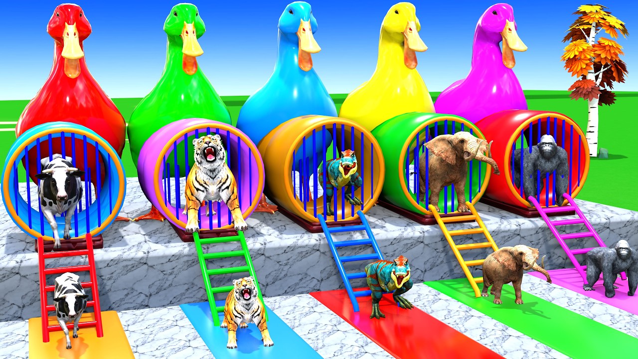 Long Slide Game With Cow Elephant Gorilla Hippopotamus Tiger 3d Animal Game Funny 3d AnimalsVideo
