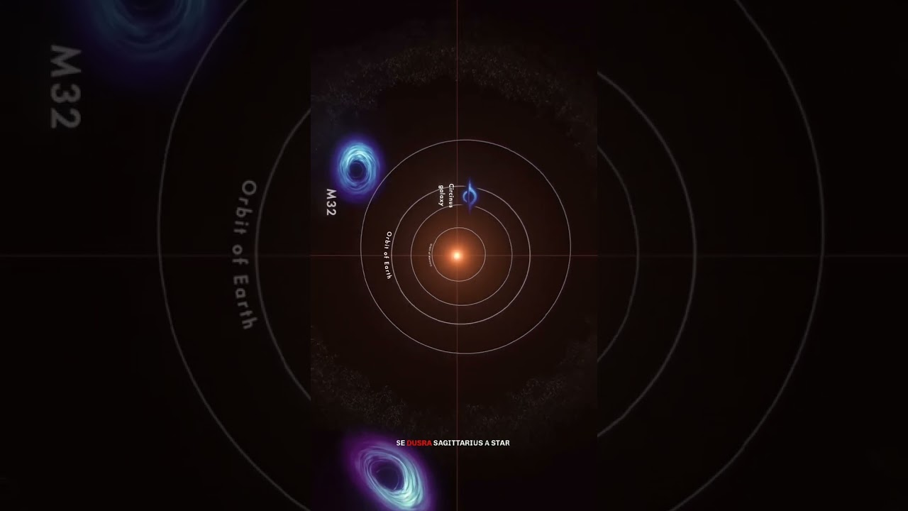 Sizes Up The Biggest Black 