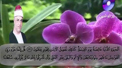 المصحف المرتل الكامل سورة الأعراف كاملة للشيخ عزت أبوعريضة  تسجيلات ومونتاج أحمدعزت أبوعريضة