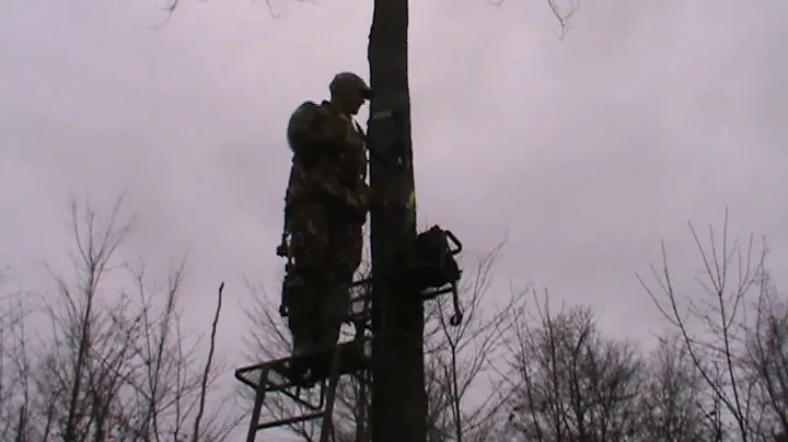 Left In the Field Outdoors Wild Boar Hunt.