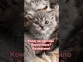 Праздник продолжается.