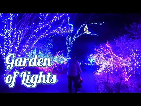 Video: Discover Brookside Gardens 'Christmas Lights Display
