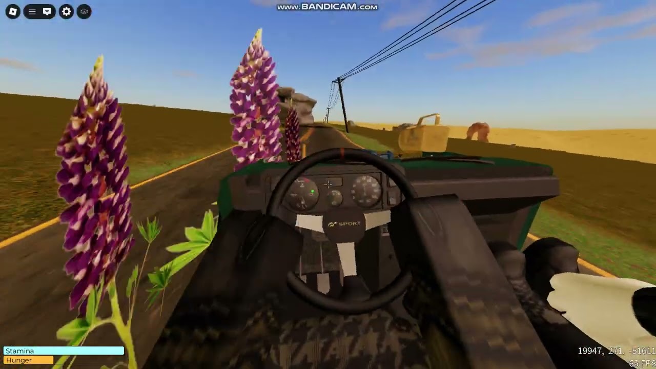 a desrt pro gameplay