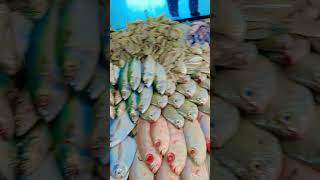 #hindisong #lifeisbutadream #seafood #fish #food #seafoodrecipes #bhojpuri #seafoods #love #nothingi