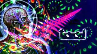 TOOL - Disposition, Reflection, Triad [REUPLOAD]