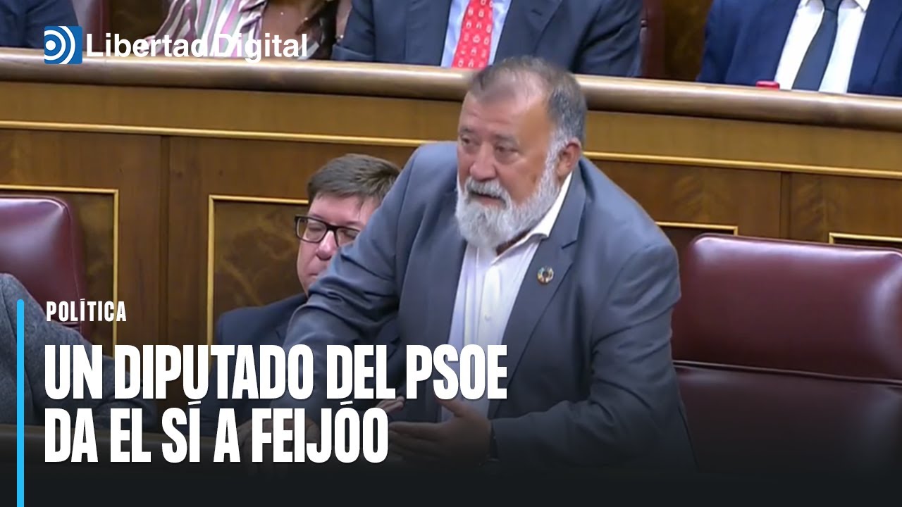 La anécdota del día: un diputado del PSOE se equivoca, da el sí a ...
