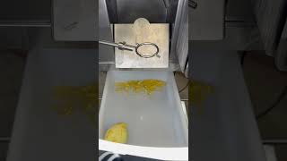 Zesting lemon OPI peeling - Pelamatic