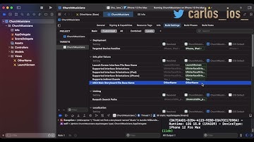 [Solved] Xcode: "Thread 1: Could not find a storyboard named 