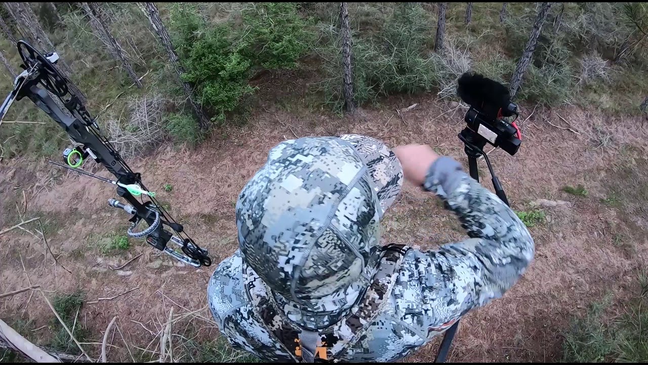 South East Texas Hog Archery Hunt YouTube