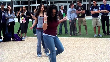 LTAs Stroll at Gammas Yardshow