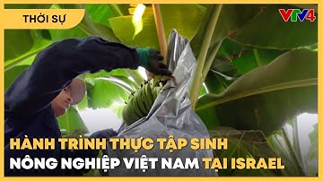 Hành trình thực tập sinh nông nghiệp Việt Nam tại Israel | VTV4