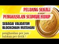 Penghasilan Seumur Hidup Sebagai Validator Blockchain