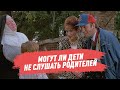 Могут ли дети не слушать родителей?