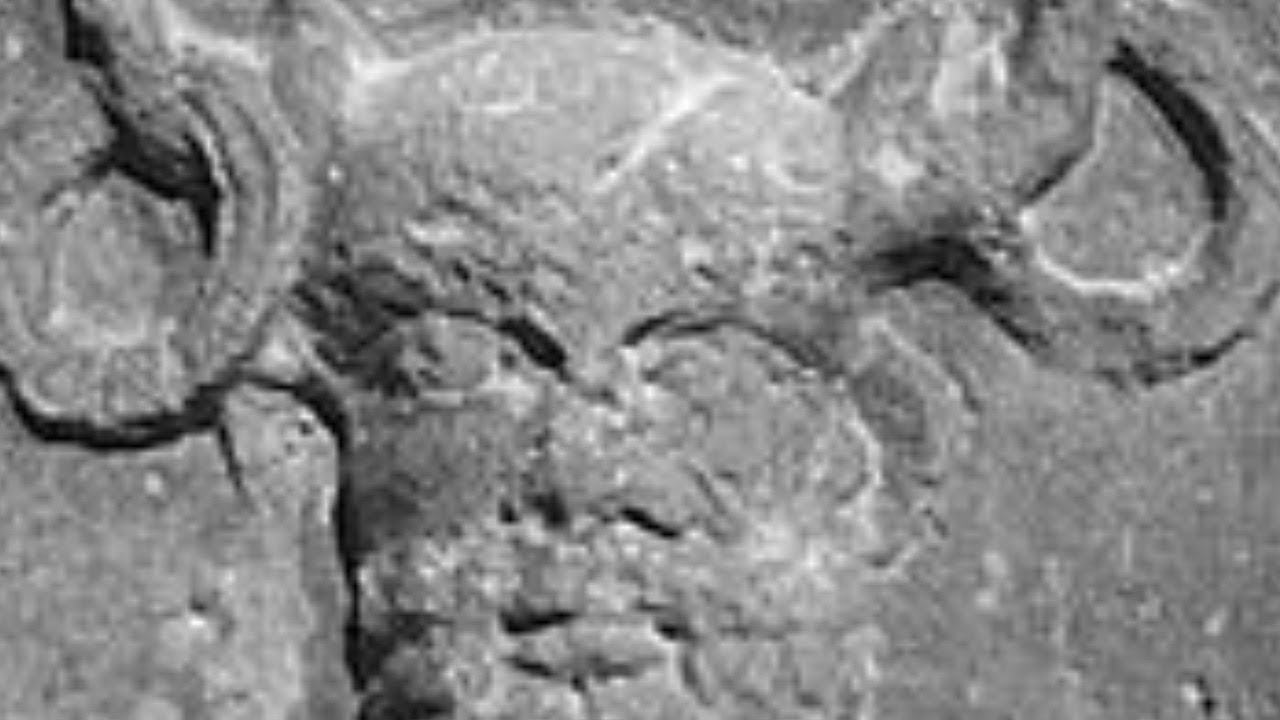 And Shall Change His Countenance - YouTube