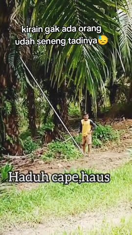 mandor ketauan #mandorpanen #videoshort #comedy #ngakak #lucu #funny #komedi #hiburan #lawak #humor