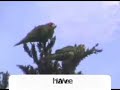 Death Star ufo over San Francisco Galactic Federation