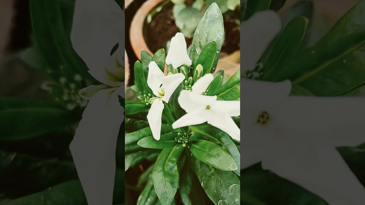 😍❤️😍❤️