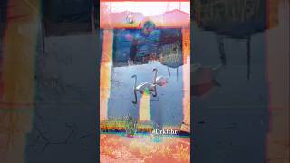 Black Swan (fantasy video short) by #Drkfthr #music #mermaidzfromouterspace