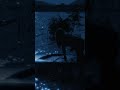 Uncovering mysteries under the blanket of the moon...