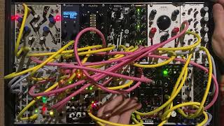Xaoc Devices Belgrad - Eurorack Module on ModularGrid
