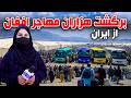 برگشت هزاران مهاجر افغان از ایران در گزارش فرشته عظیمی
