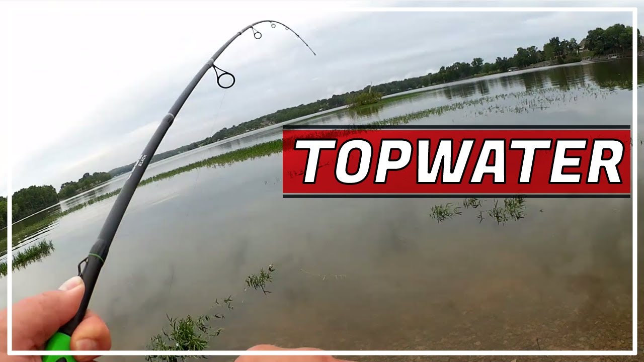 Bass Fishing with a Soft Plastic Frog & Braided Line (Spinning