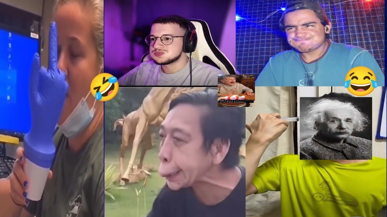 Try Not to Laugh Challenge 😂 2025 funny content 🤣 420 