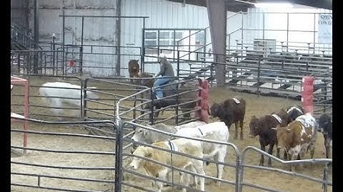 QR High Brow Red and Tamulenas Player - sorting 3 - Valley View Ranch