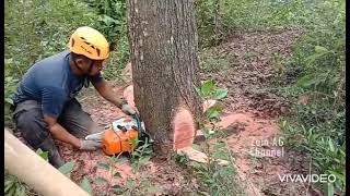 Chainsaw STHLL MS461