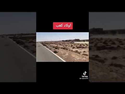 مسيرة القطعان بن كعب