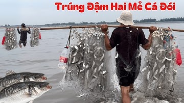 Cuộc sống mưu sinh của ngư dân biển cần giờ, trúng đậm hai mẻ lưới cá đói