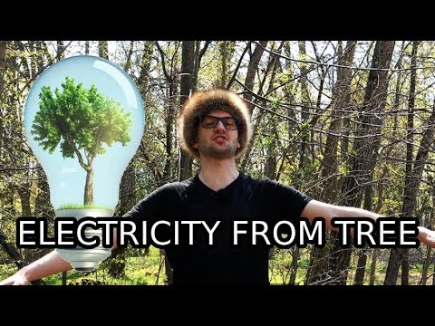 Video: Kas yra požeminis medis?
