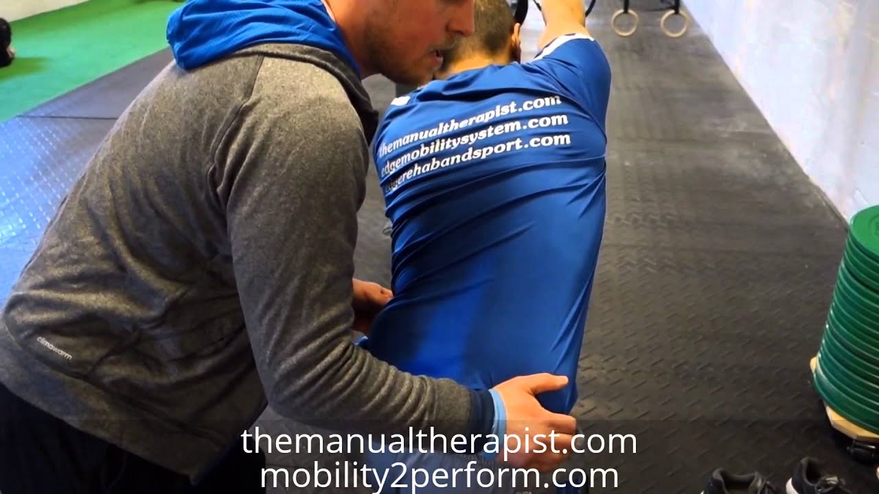 TRX Assisted Trunk and Hip Mobility physical education