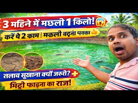 3 Mahine Mein 1KG Machhali 😱 | Talab Ka Asli Secret Jo Koi Nahi Batata!