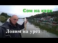 СОМ НА КВОК. Ловим на УРЕЗ. Первый опыт.