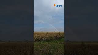 berasa ftv di sctv | #shortvideos #shorts #ftv #ftvsctv #ftvterbaru2022sctv #ftvjamandulu