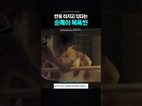 재원아 나랑 사귀어줘