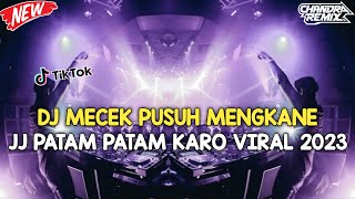 DJ MECEK PUSUH VIRAL JEDAGJEDUG PATAM PATAM KARO PALING KANE YANG KALIAN CARI 2023