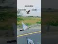 hand tame pigeon with bike #song