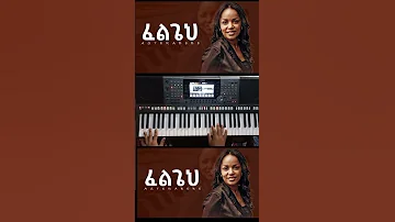 Aster Abebe Felgeh 