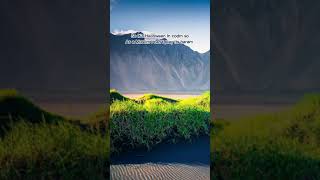 This Is Why I Cant Play Codm For The S9...