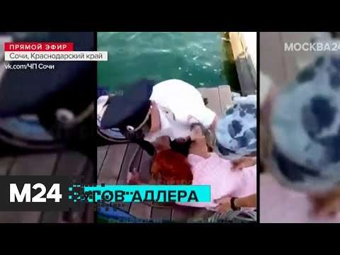 «Камеру убери!» Полиция и Росгвардия жестко задержали туристок в Сочи - Москва 24