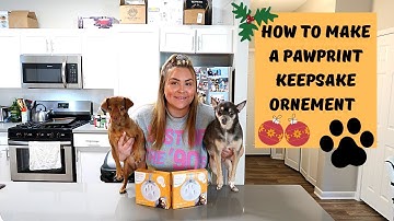How to Make a Pawprint Keepsake | Pearhead