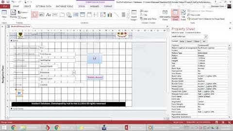 Creating Navigation buttons | MS Access Database 25